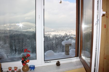 widok z okna